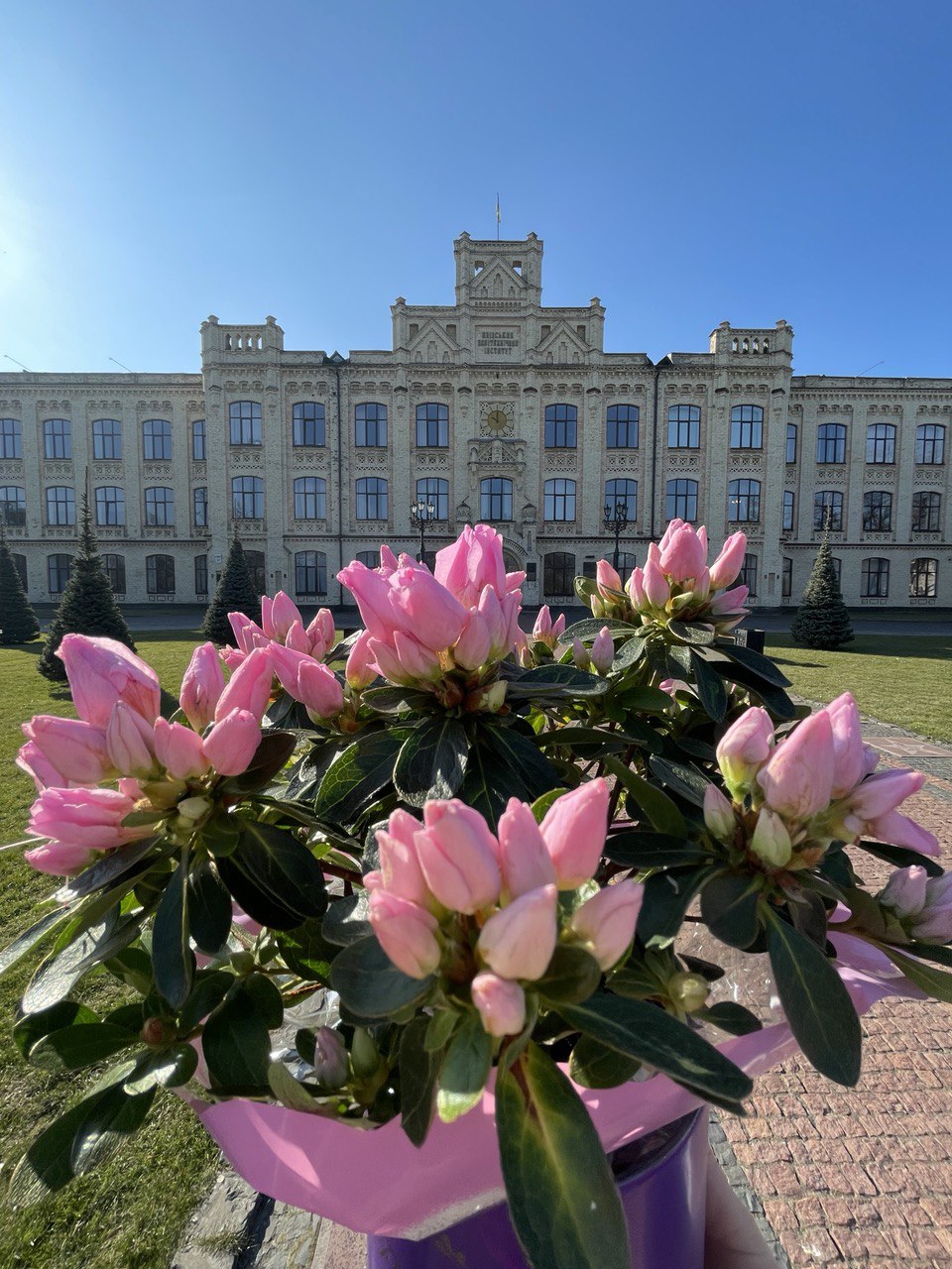 з Міжнародним днем боротьби за права жінок і міжнародний мир